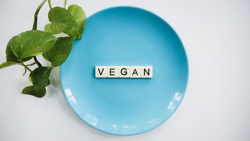 Plant-Based Ideas