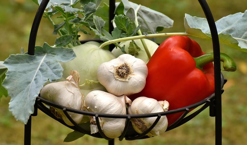 Colorful Vegetables
